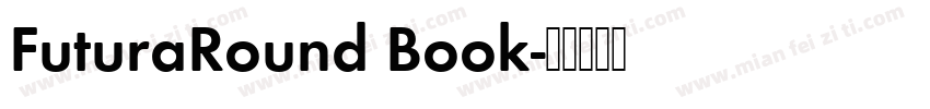 FuturaRound Book字体转换